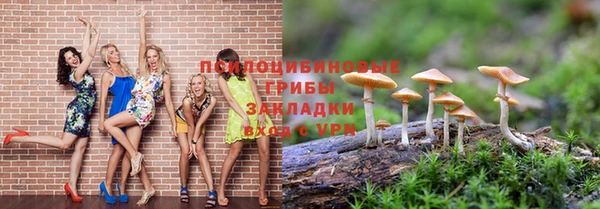 мдпв Беломорск