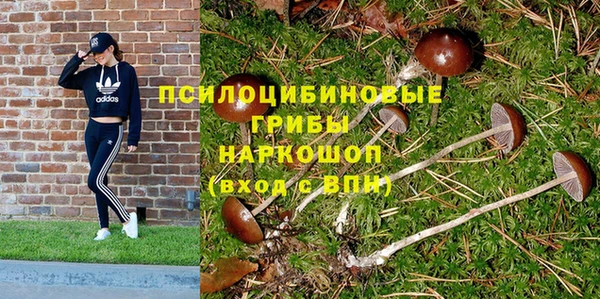 мдпв Беломорск